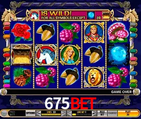 Descubra o Mundo do Cassino Online com 675bet